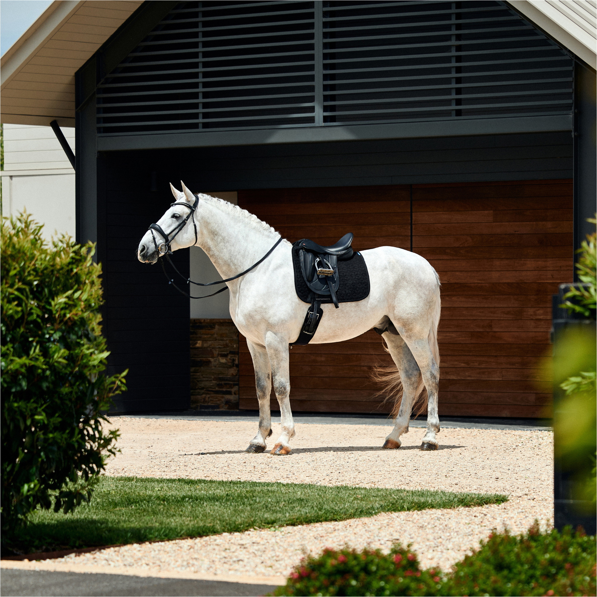 2026 WeatherBeeta Suede Elite Air - Tec Dressage Saddle Pad 1030346 - Black